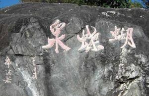 Dali Butterfly Spring